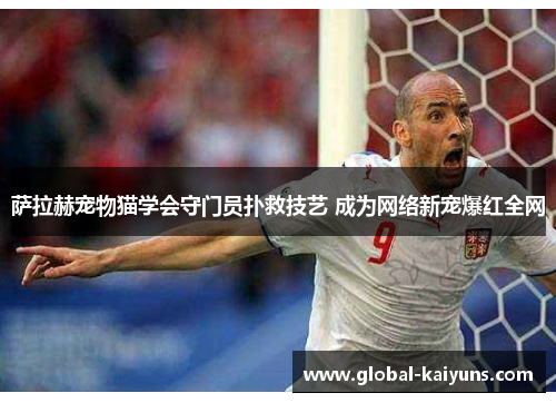 萨拉赫宠物猫学会守门员扑救技艺 成为网络新宠爆红全网