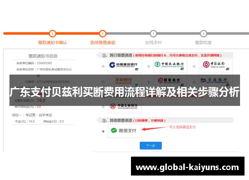 广东支付贝兹利买断费用流程详解及相关步骤分析