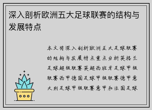 深入剖析欧洲五大足球联赛的结构与发展特点