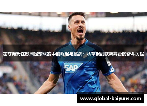 霍芬海姆在欧洲足球联赛中的崛起与挑战：从草根到欧洲舞台的奋斗历程